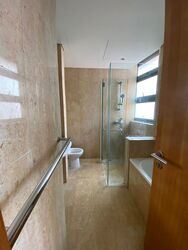 Adam Park Condominium (D11), Condominium #439717661
